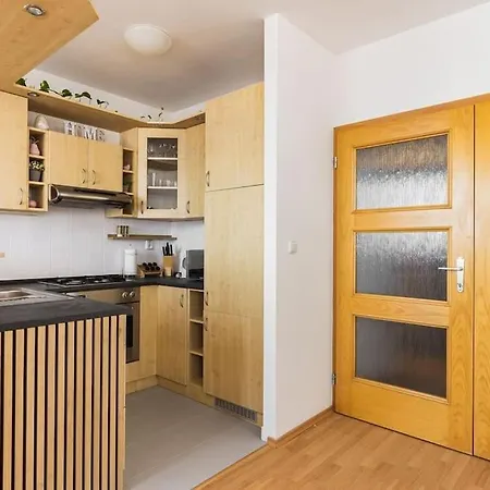 Sancova Panorama Loft דירה *